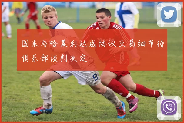 国米与哈莱利达成协议交易细节待俱乐部谈判决定