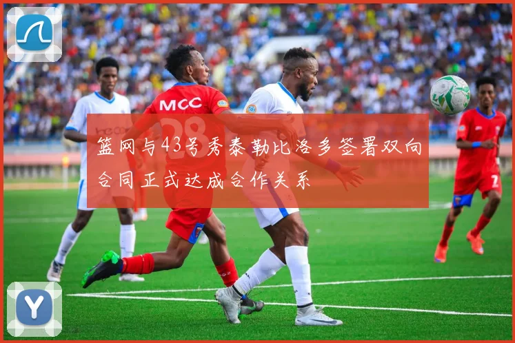 篮网与43号秀泰勒比洛多签署双向合同正式达成合作关系