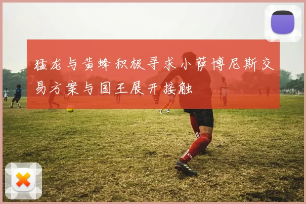 猛龙与黄蜂积极寻求小萨博尼斯交易方案与国王展开接触